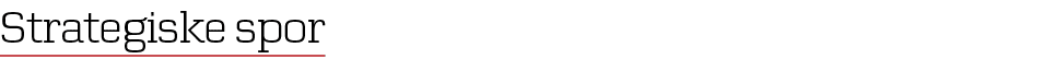 Strategiske spor